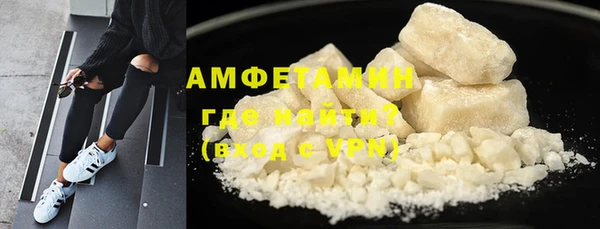 прущие грибы Козельск