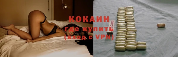 прущие грибы Козельск